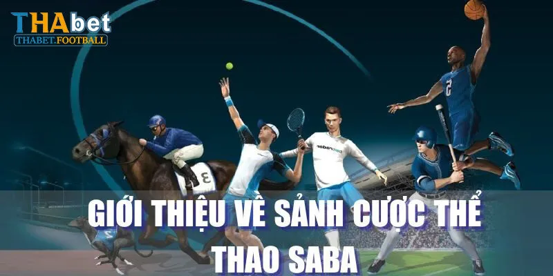 Hướng Dẫn Tham Gia SABA Sports Tại Thabet