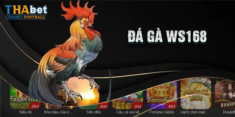 Khám Phá Các Hình Thức Nổi Bật Tại Ws168 Đá Gà