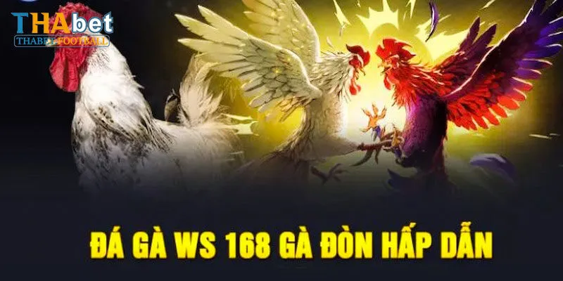 Ws168 Đá Gà Và Thông Tin Cơ Bản