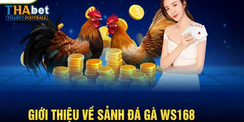 Ws168 đá gà